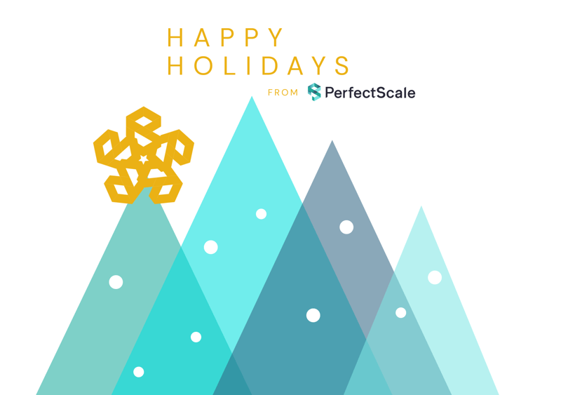 Highlights of 2023: The Year Of Growth For PerfectScale
