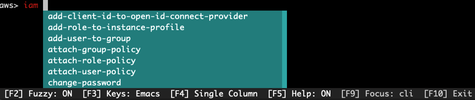 aws shell